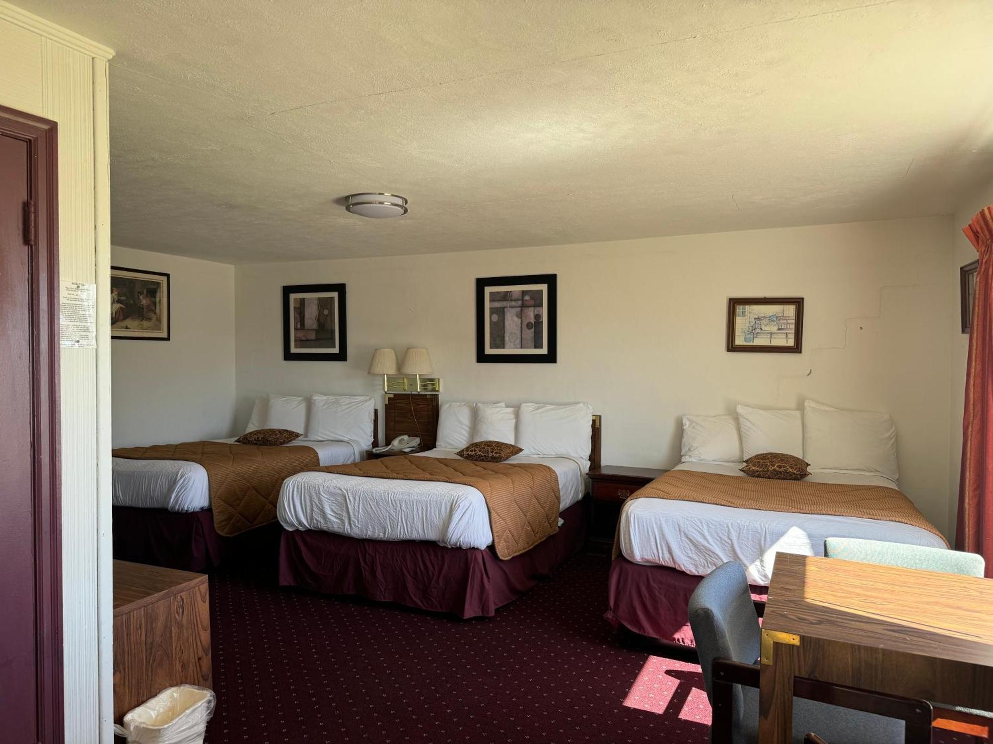 Royal Inn Albany Ngoại thất bức ảnh